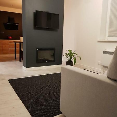 MISVEST Karol IX Apartment Zabrze Bagian luar foto